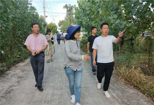 天台县“仙桃”走红,家庭农场喜迎省农科院青睐